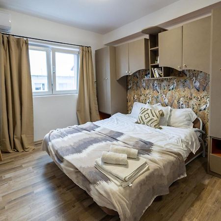 Cozy Studio Retreat - Quiet, Premium Stay Timişoara Eksteriør bilde